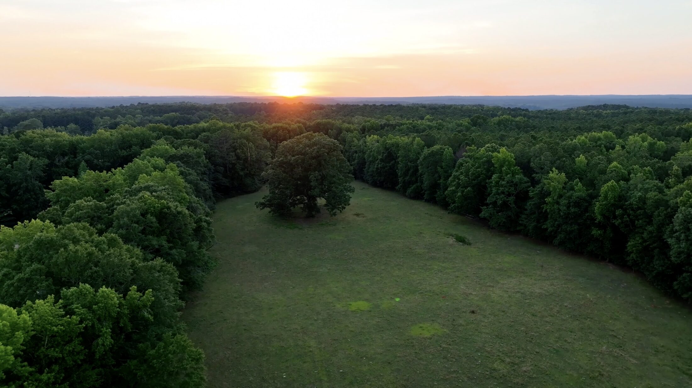 Aerial view of the Hollins property at sunset, fields and forest stretching to the horizon