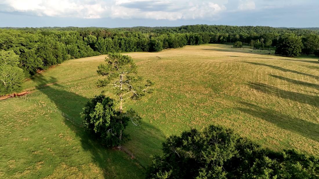 Fence lines crossing open pastureland